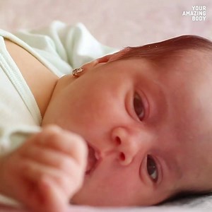 126K views · 340 reactions | Look Inside the Womb, 9 months in 4 mins..! | Witney Carson | Facebook