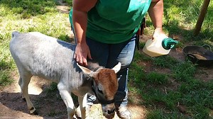 1K views · 39 reactions | If you've ever wanted to know more about...