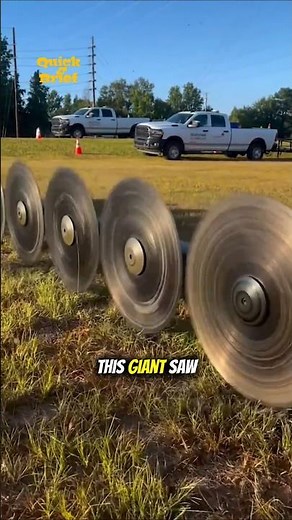 Tree Pruning with a Helicopter!🚁🌲