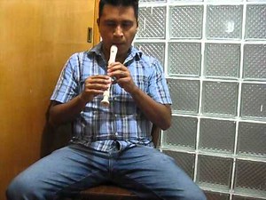 ¿Cómo tocar 31 minutos en la flauta dulce?