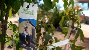 Changes made to TEP discount tree program