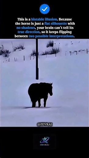 Your Brain Can’t Decide Which Way This Horse Is Walking 🤯