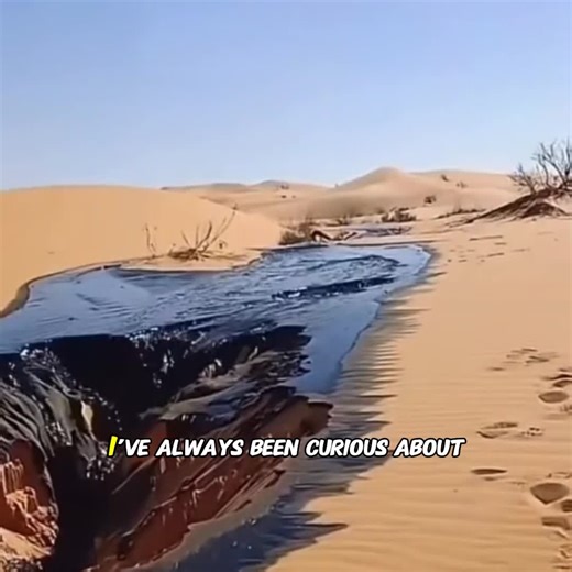 How Is Petroleum Formed.? #science