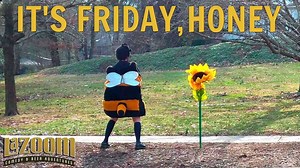 Workin' for the Bee-kend! | LaZoom Tours