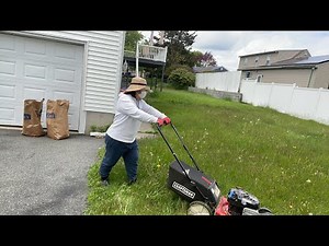 アメリカ🇺🇸芝刈り