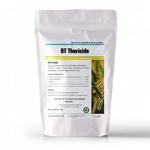 [Hot Item] Bacillus Thuringiensis Powder, Bt Powder, Insect Killer Spray for Plants, Btk