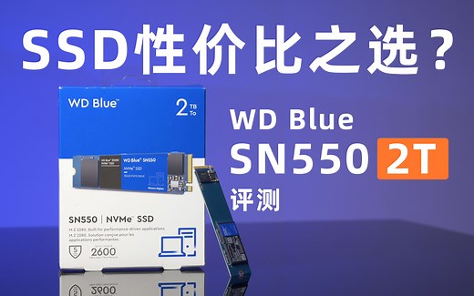 SSD性价比之选？WD Blue SN550 2T评测