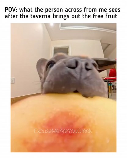 9K views | Excuse Me, Are You Greek? on Reels | Facebook