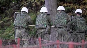 A grizzly warning to Americans: Beware bear attacks in Japan