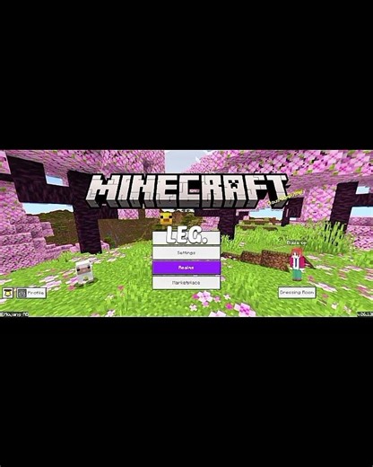 I Added Java 1.7 Animations + 3D Skin Layers To MCPE! 😱#MCPE