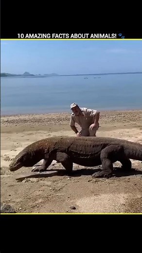 10 Amazing Facts About Animals! 🐾