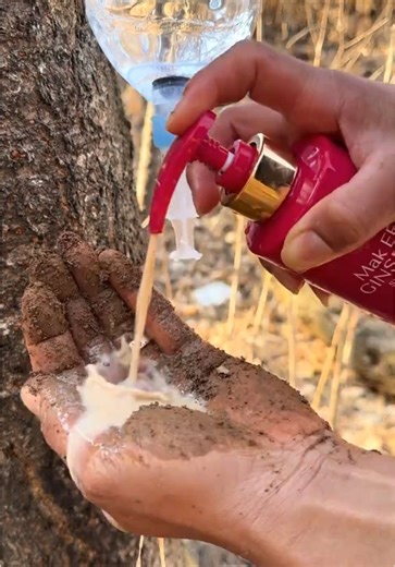 Essential Survival Skills: Save SOAP & Water in the Forest