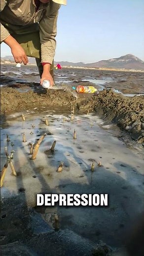 Why Salt Makes Razor Clams Jump Out