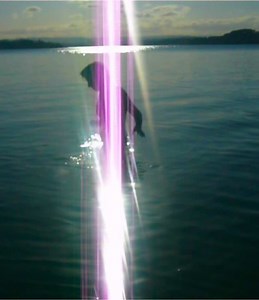 Explore Digital Cameras in Nature: Nostalgic Videography