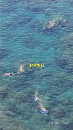 Discover Norfolk Island:History and Beauty!