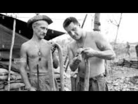 The "Snake Eaters" of Nui Dat: Why US Green Berets Refused To Share Rations With The Australian SAS