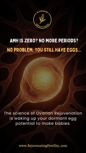 Rejuvenating Fertility Center on Instagram: "WHAT IS OVARIAN REJUVENATION? 1. A newly pioneered procedure to re-awaken dormant eggs and improve their quality 2. EVEN postmenopausal women with AMH of ZERO still have on average ONE THOUSAND (1,000) dormant eggs inside their ovaries 3. Used to achieve pregnancy regardless of your age, AMH, or weight. — Rejuvenating Fertility Center (RFC) offers 4 types of Ovarian Rejuvenation. 🇺🇸 2 types in the USA: PRP (Platelet-Rich Plasma) and ADIPOSE-PRP 🇧🇸