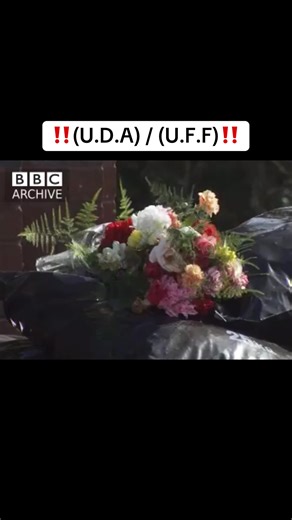 The Tragic Killing of Damien Walsh and Its Aftermath