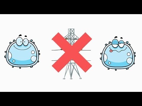 The Life Of A Cancer Cell