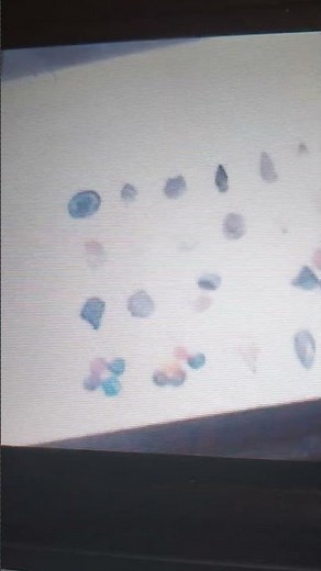 Junior Asparagus Sings Half The Rock Cycle Song From Mr. Parr.