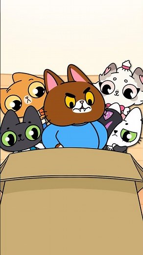 Подарки для Родителей Тигры…и не только 🎁! #симба #симбочка #симбочкапимпочка