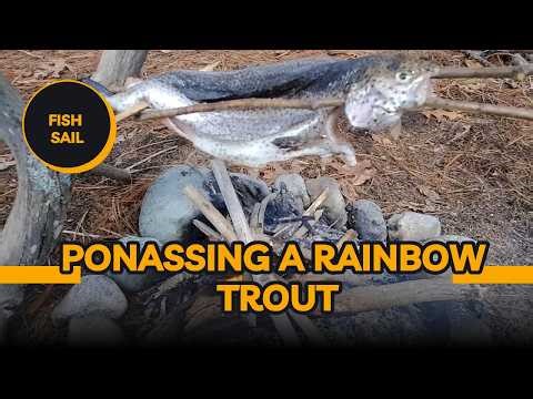 Primitive Cooking | Rainbow Trout | Catch and Cook
