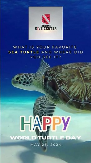 Celebrating World Turtle Day 2024