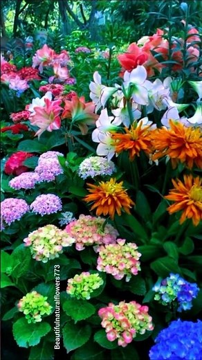 “Relax with Summer Flowers 🌼🐦☀️ | Peaceful Nature Video”