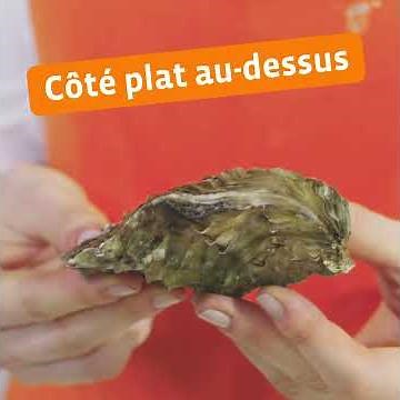 Comment ouvrir une huître ? - Colruyt