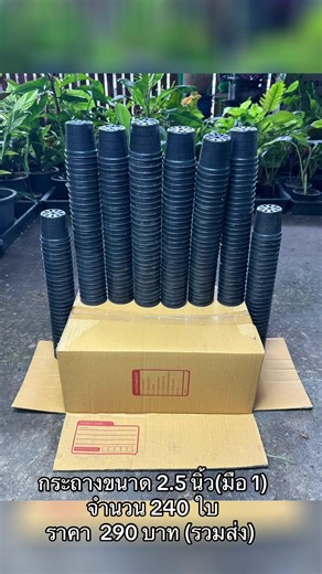 วิดีโอของ Star_Plants (@star_cactus) พร้อมเพลง เสียงต้นฉบับ - Star_Plants