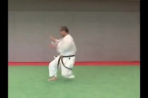 Wanshu by Hiroji Fukazawa Sensei | Wado-Ryu Karate-Do