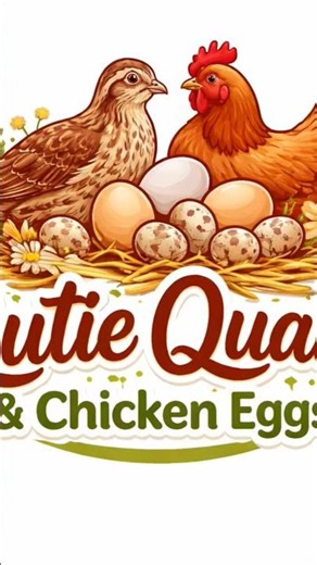 90 Baby Quails Taking Their First Steps Today #adorable #coturnix #hatching