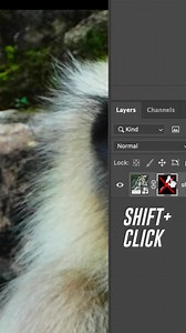 Do you want to know how to create realistic looking fur in Photoshop? Check out Fauna Fables quick tip on creating a custom fur brush: https://bit.ly/3XkbcIQ | Adobe Photoshop