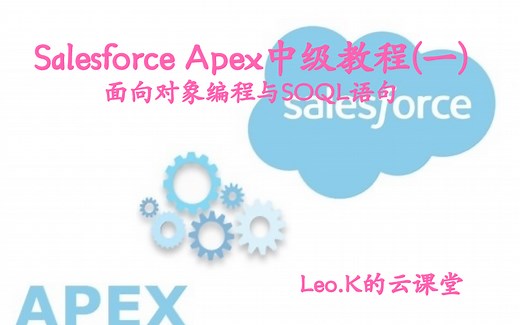 Salesforce Apex面向对象编程