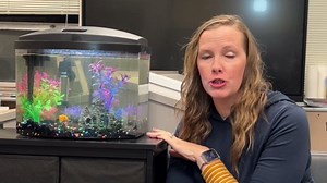 AquaMiralce 50W Aquarium Heater with Compact Size, Submersible Fish Tank Heater with LED Digital Display Thermostat, Adjustable Fish Heater Turtle Heater for 5-10 Gallon Tanks