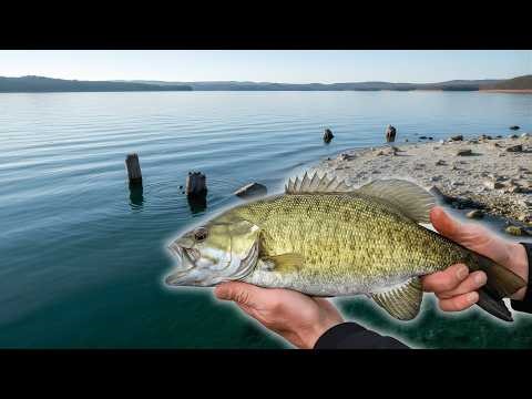 February Bass Spoon Magic: Lifting and Dropping in on Giant Bass Right Now