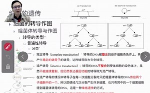 数量遗传精讲 Advanced version_Genetics 03