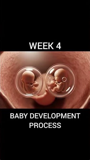 Fetus Development Week by Week | Pregnancy Journey Explained 🤰✨