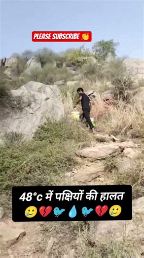45°c भीषण गर्मी में पक्षियों की हालत 🥹💧🐦👏ऐसी मदद देखने के लिए हमें सपोर्ट करें #ajeetmeena #helping