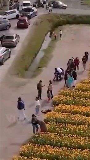 Science 🔭🔭🔭 #shortsreels #shortsviral #science #sciencefacts #scientist #technology #technique #knowledge #knowledgeispower #knowledgesharing #reelsfbシ #monotization #relsviralシ #reelsviralシfb #wizards #technews #flowers #farming #farminglife | An Wizards An Wizards