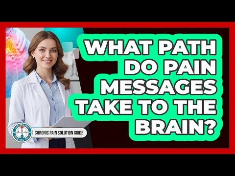 What Path Do Pain Messages Take To The Brain?