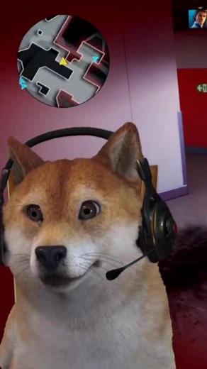 Mastering Rogue Company: Wild Gameplay Insights