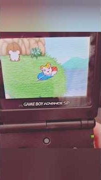 hamtaro gba ₊˚⊹ ᰔ #gba #hamtaro #nostalgia