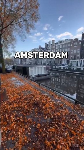 Amsterdam Highlights: Best Attractions & Tips