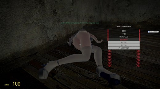 gmod沉浸搜刮r向