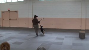 13K views · 241 reactions | Training individual behaviors effectively...