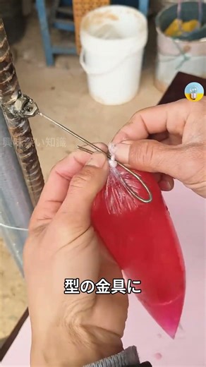 知らなきゃ損！超便利なライフハック4選 💡 |興味深い知識