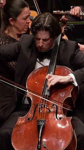 Rococo Variations #orchestra #classicalmusic #cello #tchaikovsky #music #concerto #livemusic