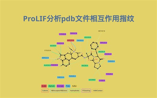 ProLIF PDB文件相互作用可视化@ProLIF教程_4PDB相互作用图的绘制@会啥ProLIF