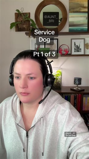 Handling Office Discomfort with Service Dogs